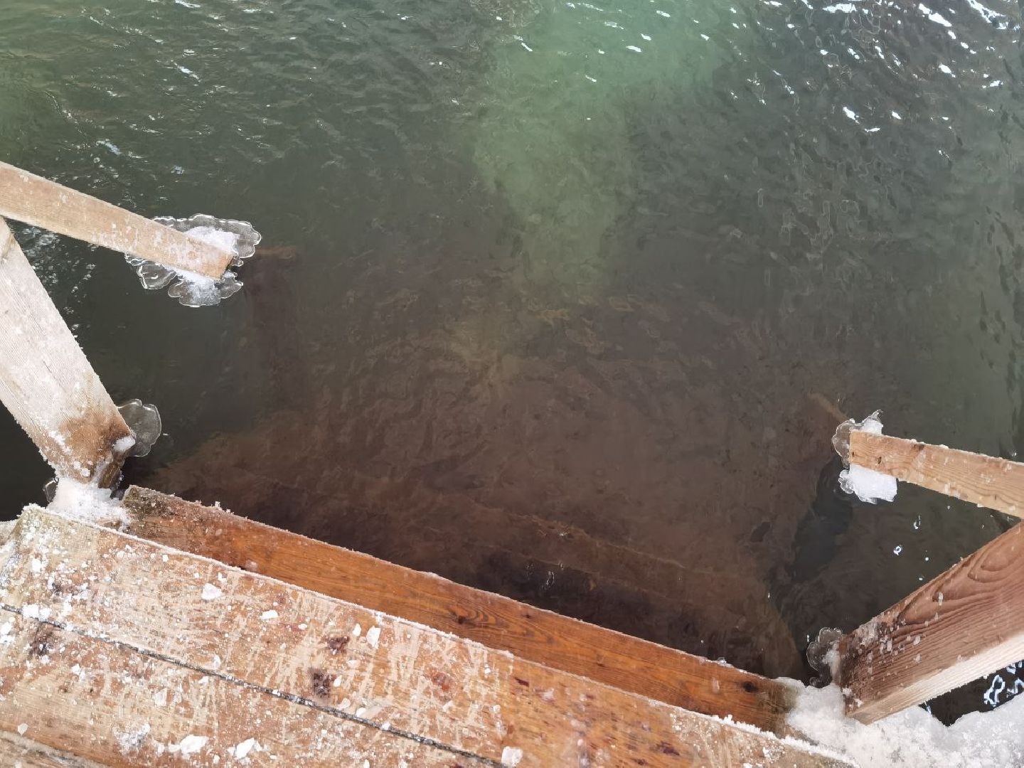 Сергиев Посад, Крещение, Праздник, Гремячий ключ, Крещенские купания, Безопасность,