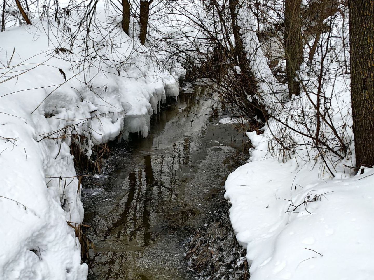 природа, стоки, Клязьма, Щелково,выездная администрация,