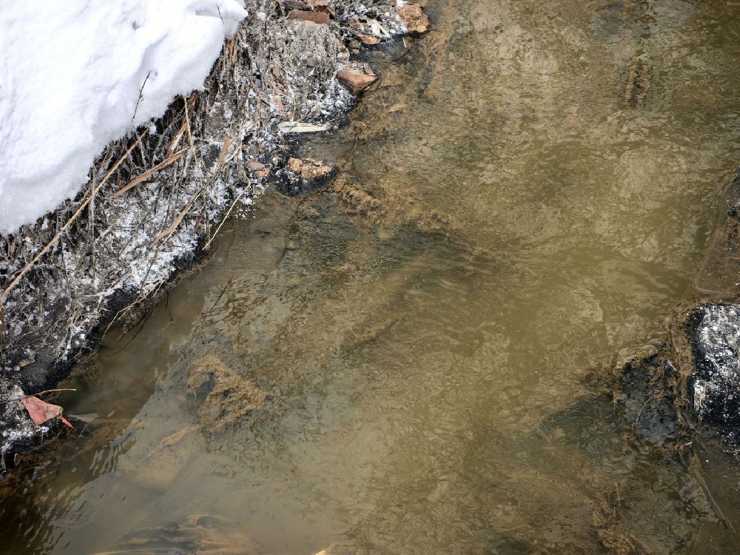 природа, стоки, Клязьма, Щелково,выездная администрация,