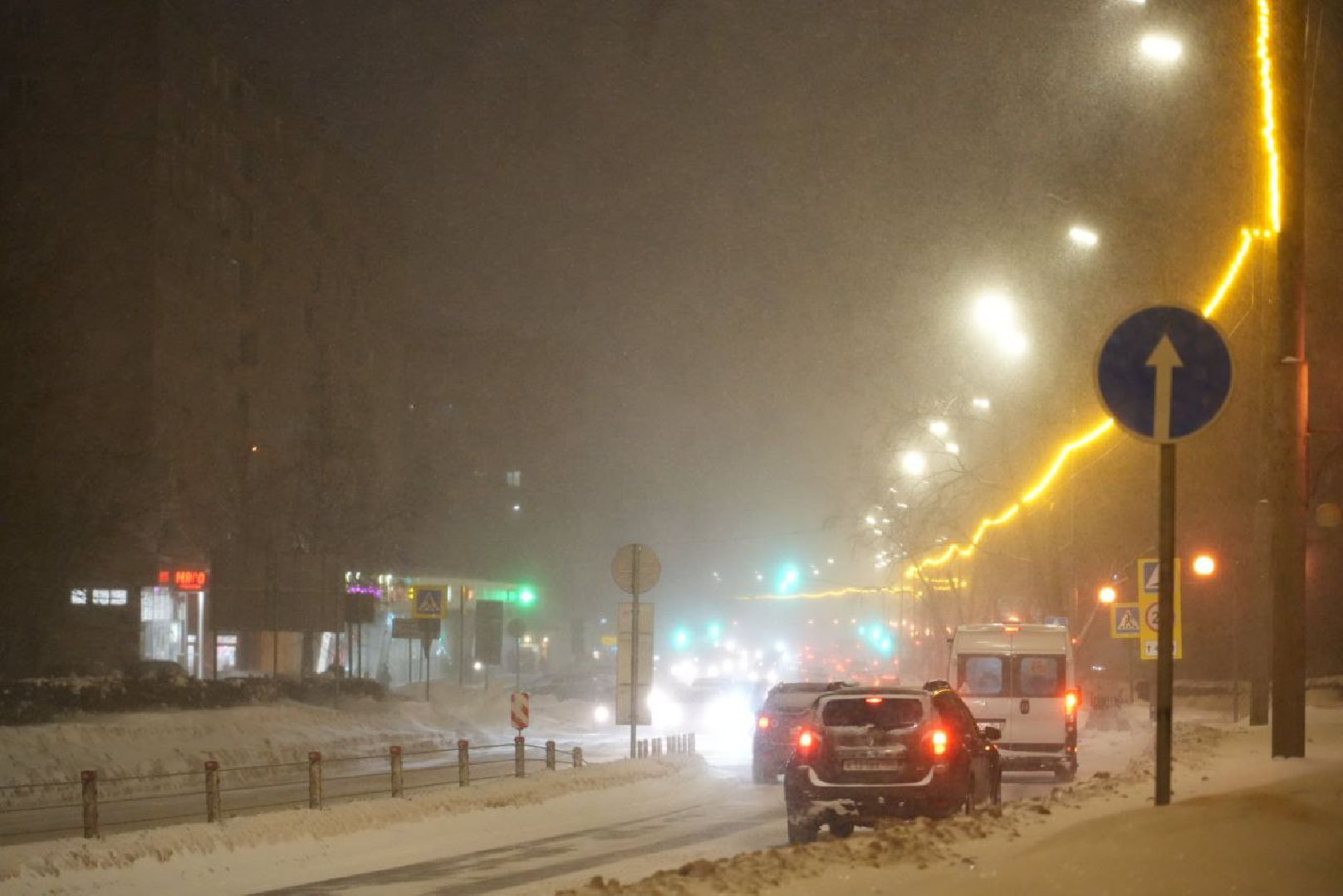 Сергиев Посад, Погода, Снегопад, Метель, Крещение, Дождь, Мокрый снег,