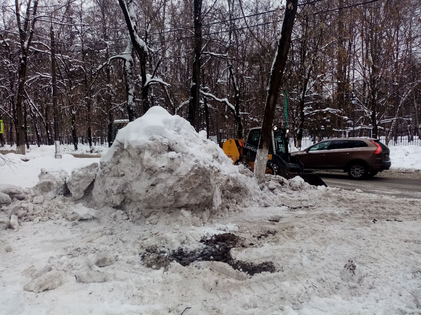 снежный шторм, непогода, природные аномалии,