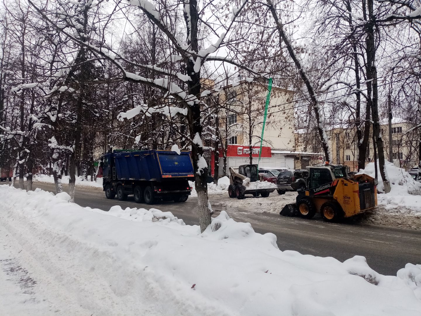 снежный шторм, непогода, природные аномалии,