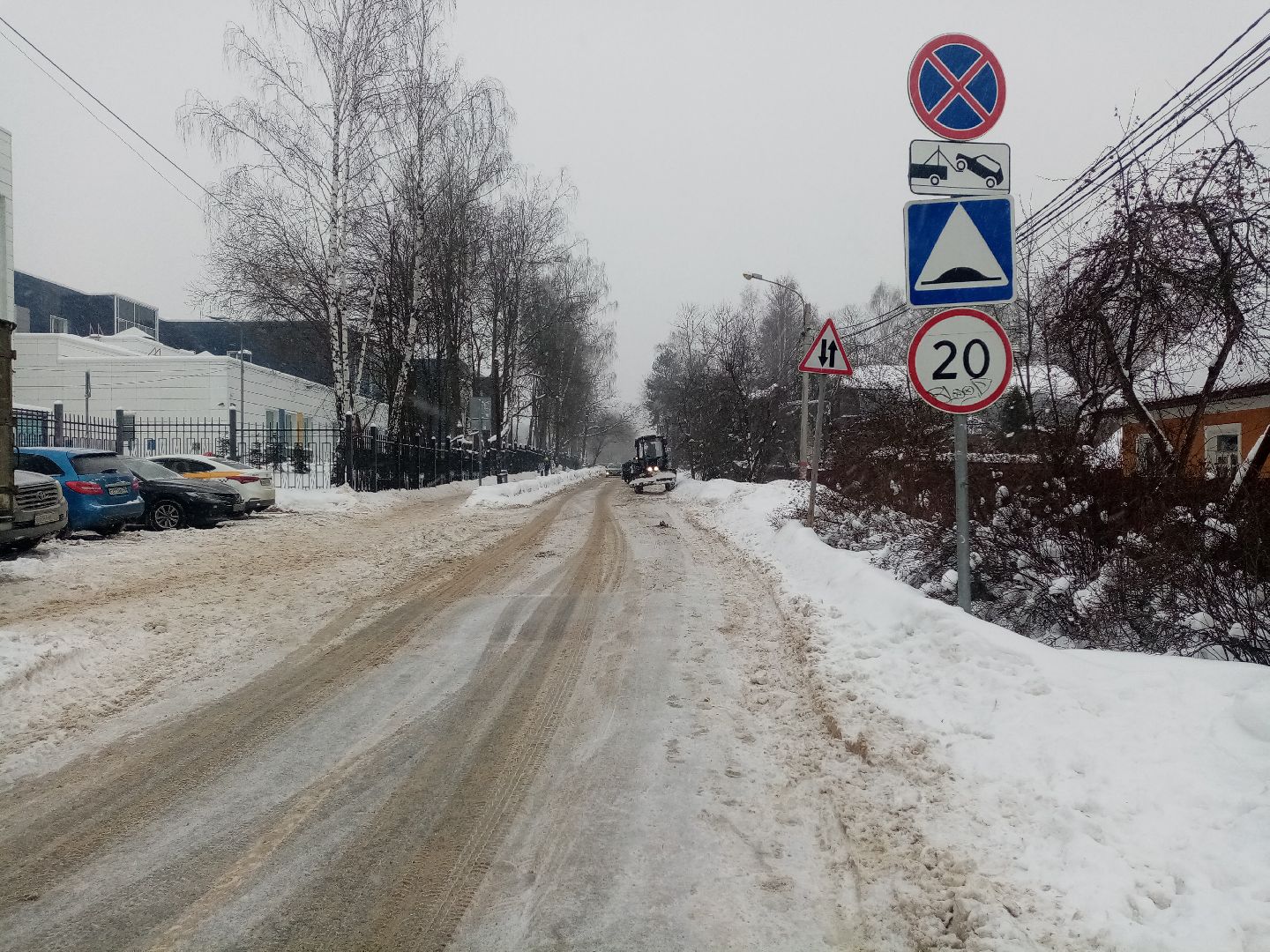 снежный шторм, непогода, природные аномалии,