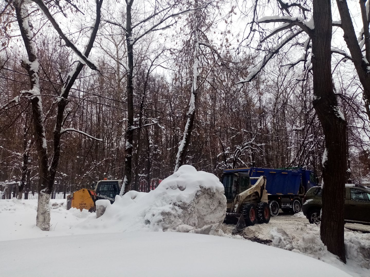 снежный шторм, непогода, природные аномалии,
