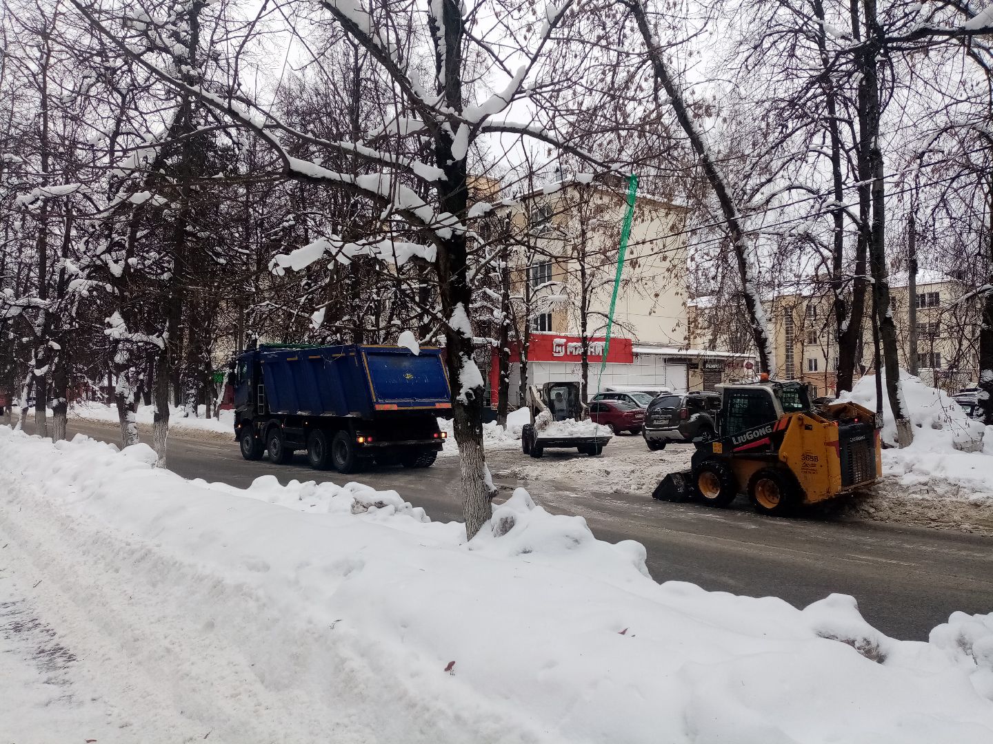снежный шторм, непогода, природные аномалии,