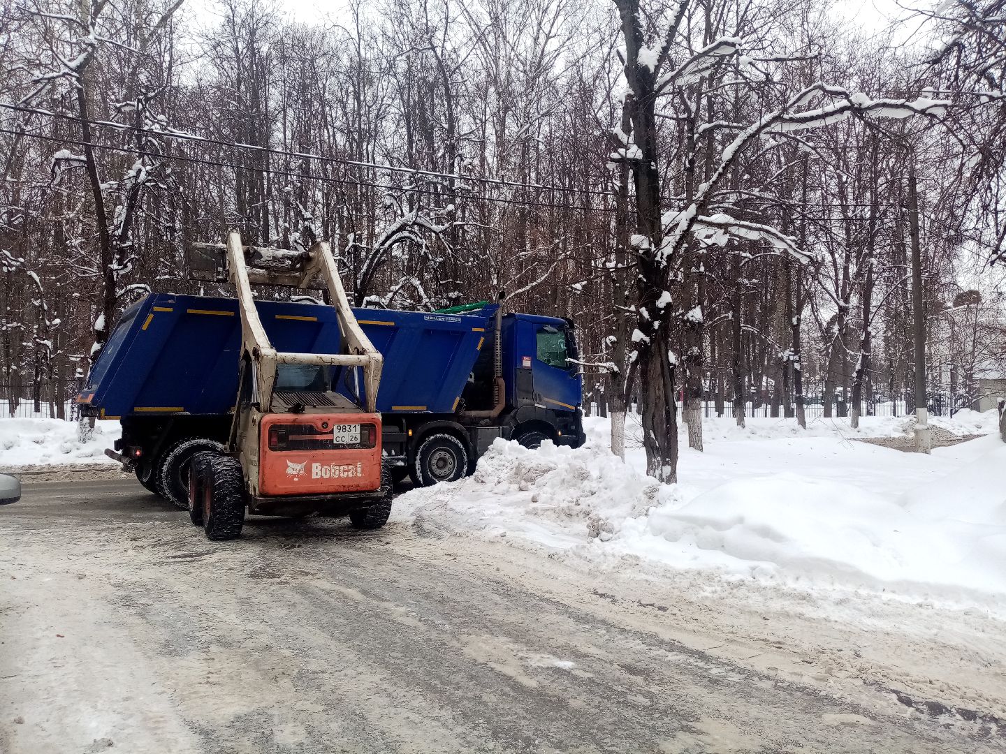 снежный шторм, непогода, природные аномалии,
