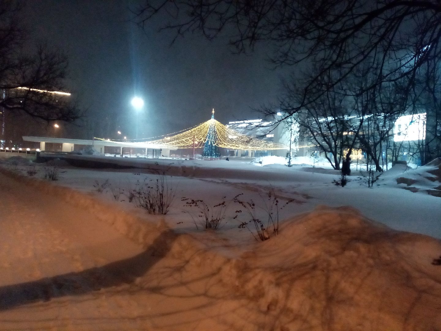 снежный шторм, непогода, природные аномалии,