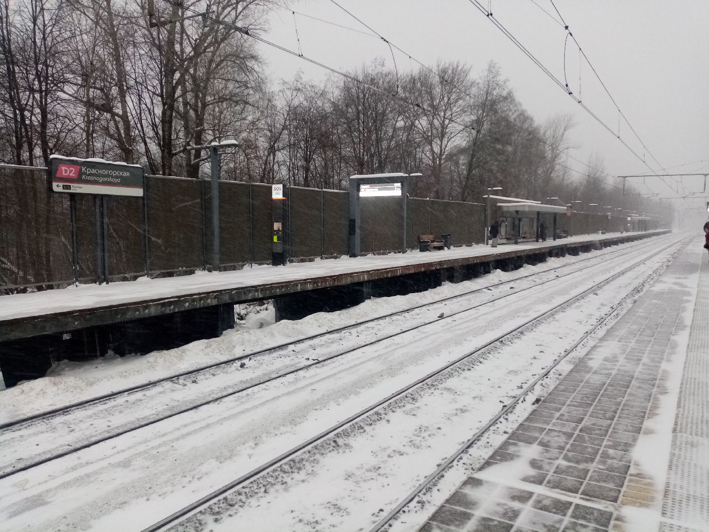 снежный шторм, непогода, природные аномалии,