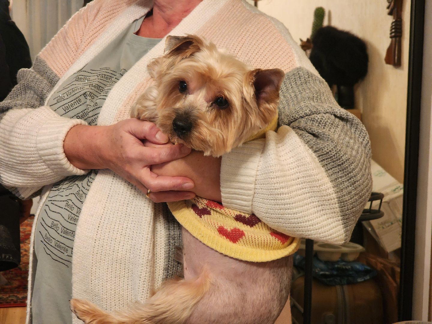 Подольск, Отопление, жкх, глава округа,