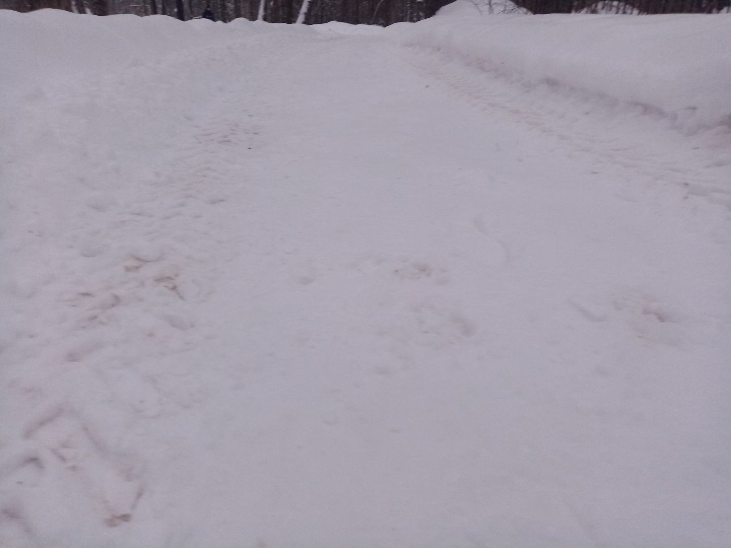 снегопад, непогода, уборка снега, жкх подмосковья,