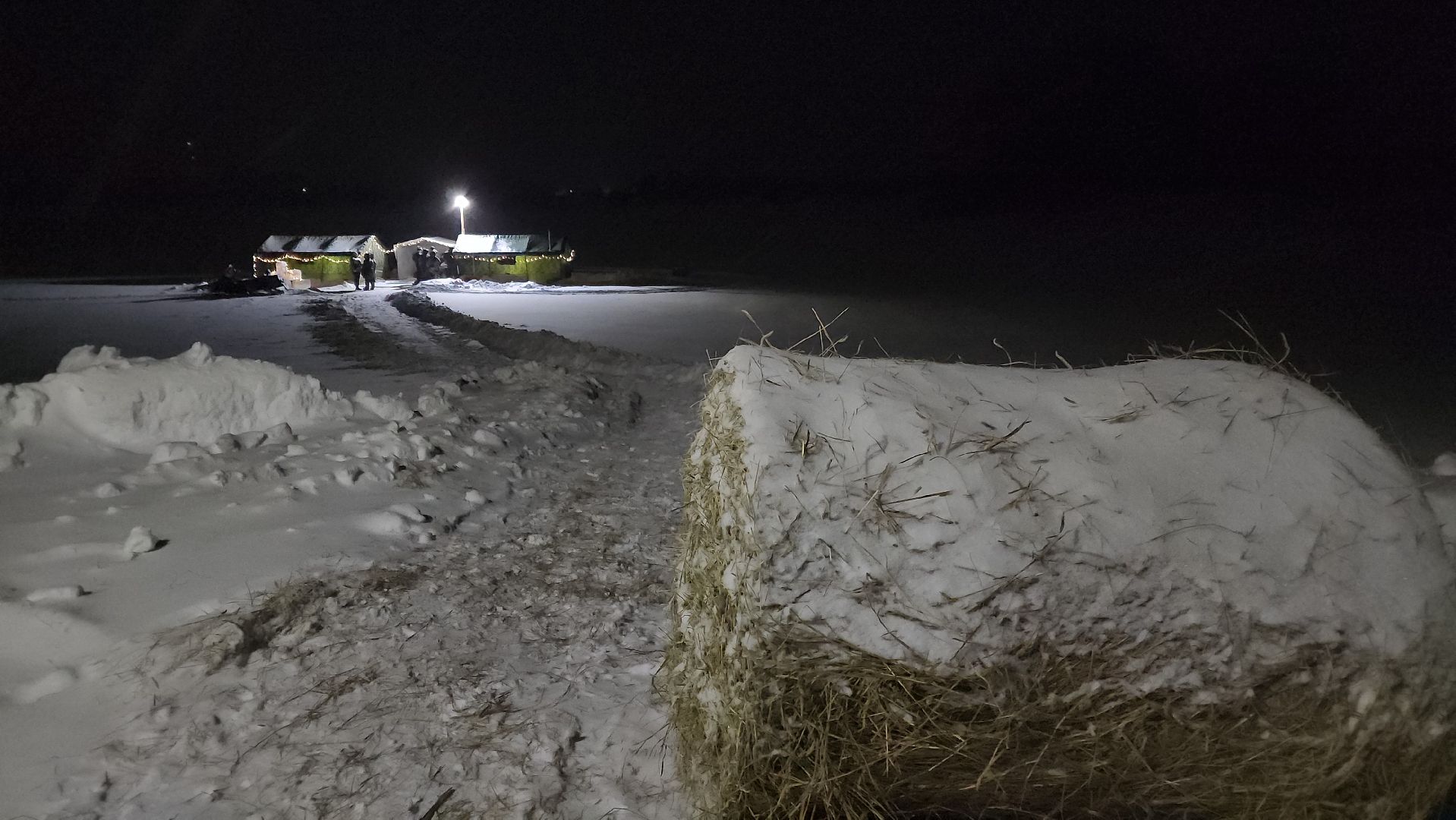 волоколамск, крещение, крещение господне, праздник, купание, традиции,