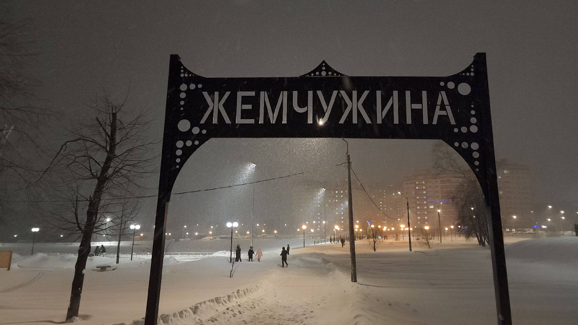 серпухов, крещенские купания, ногинский пруд, иордань, благочинный,