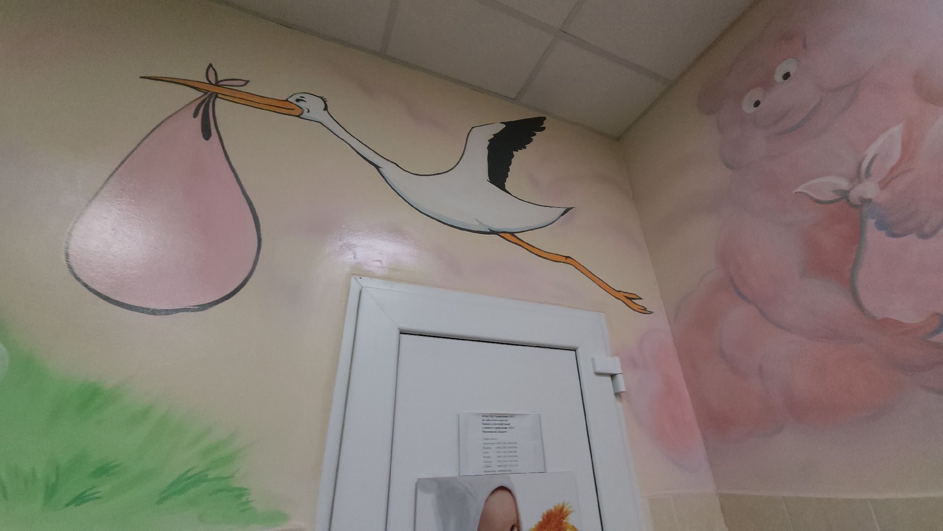 долгопрудный, новорожденный, младенцы, дети, бэби-бум,