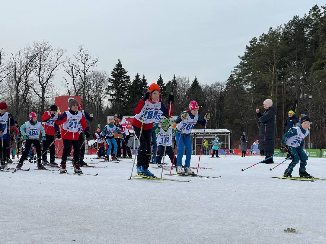 Одинцово, общество