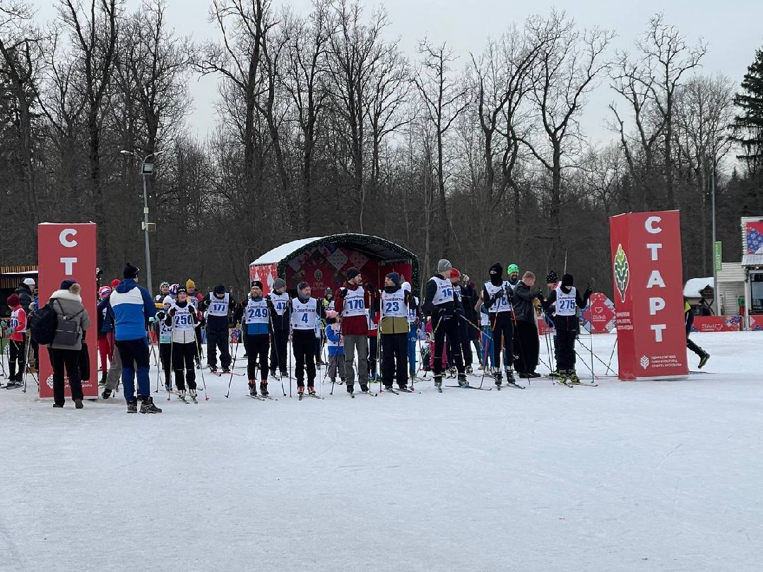 Одинцово, общество