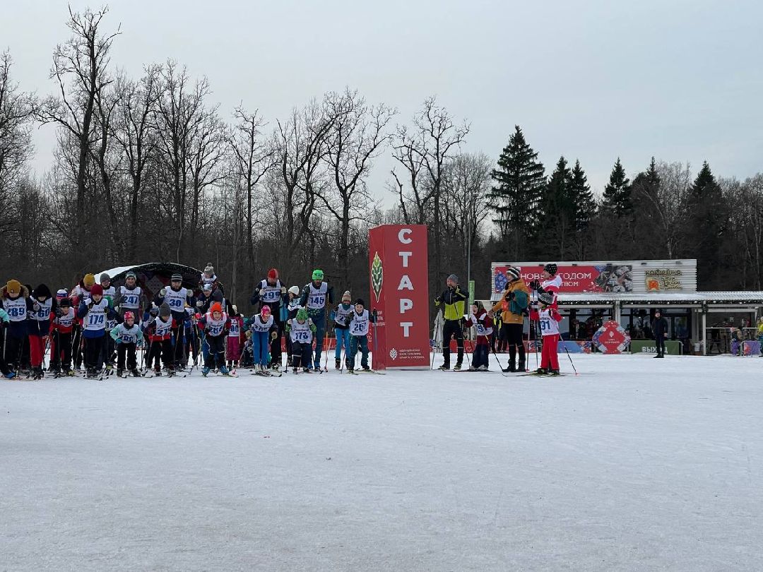 Одинцово, общество
