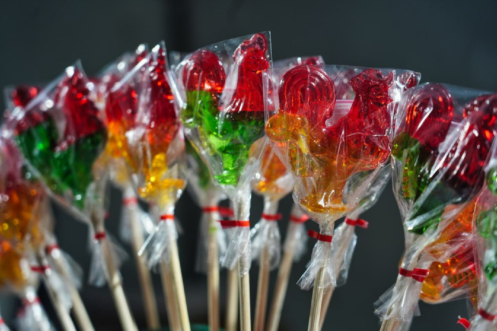 Гремячий ключ, Святой источник, Крещение, Праздник, Сергиево-Посадский городской округ, Сергиев Посад, Крещенские купания,