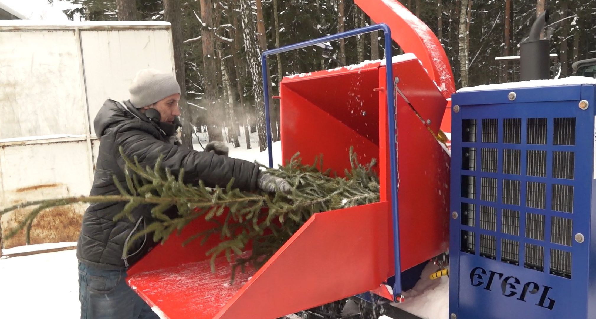 вторая жизнь елки, Зима в Подмосковье, Наш лес посади свое дерево, переработка, Домодедово,