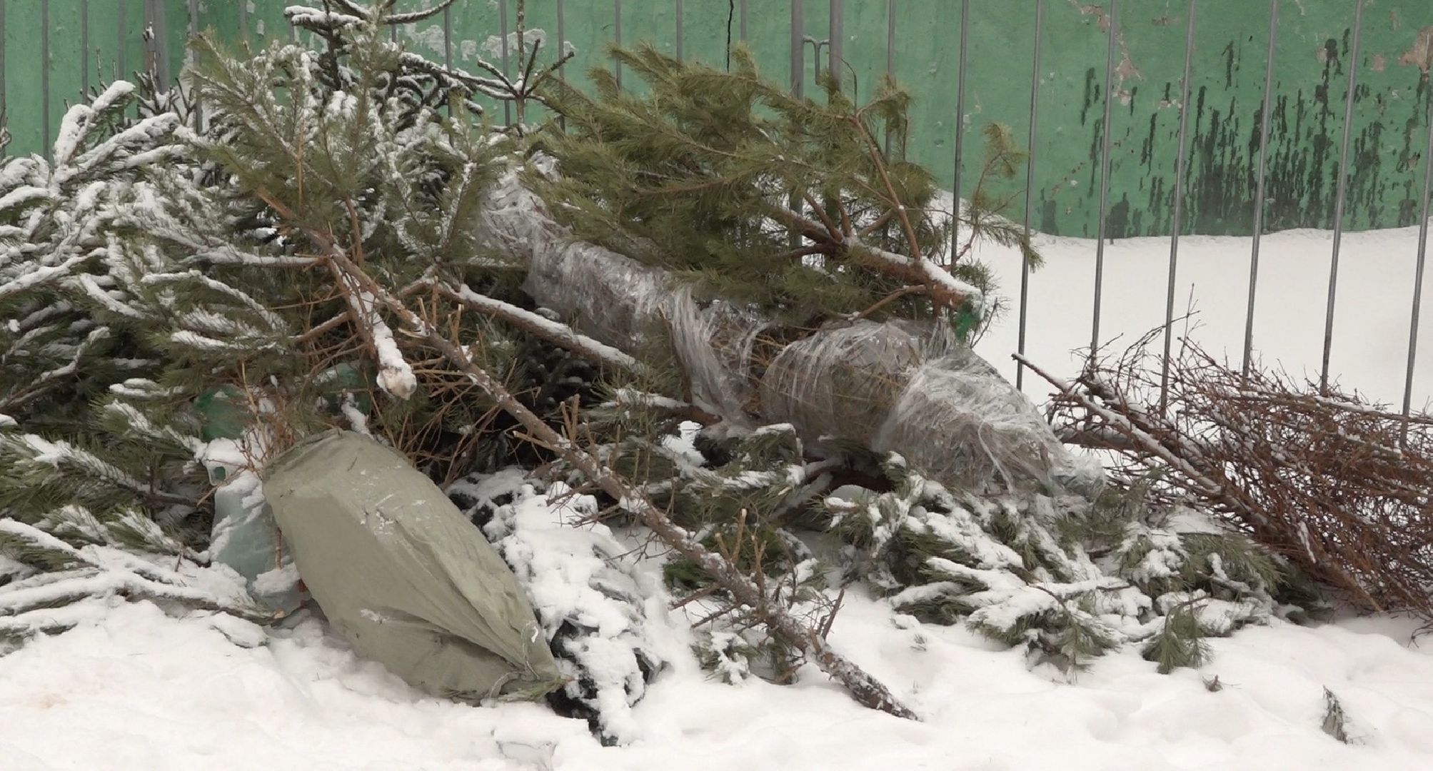 вторая жизнь елки, Зима в Подмосковье, Наш лес посади свое дерево, переработка, Домодедово,