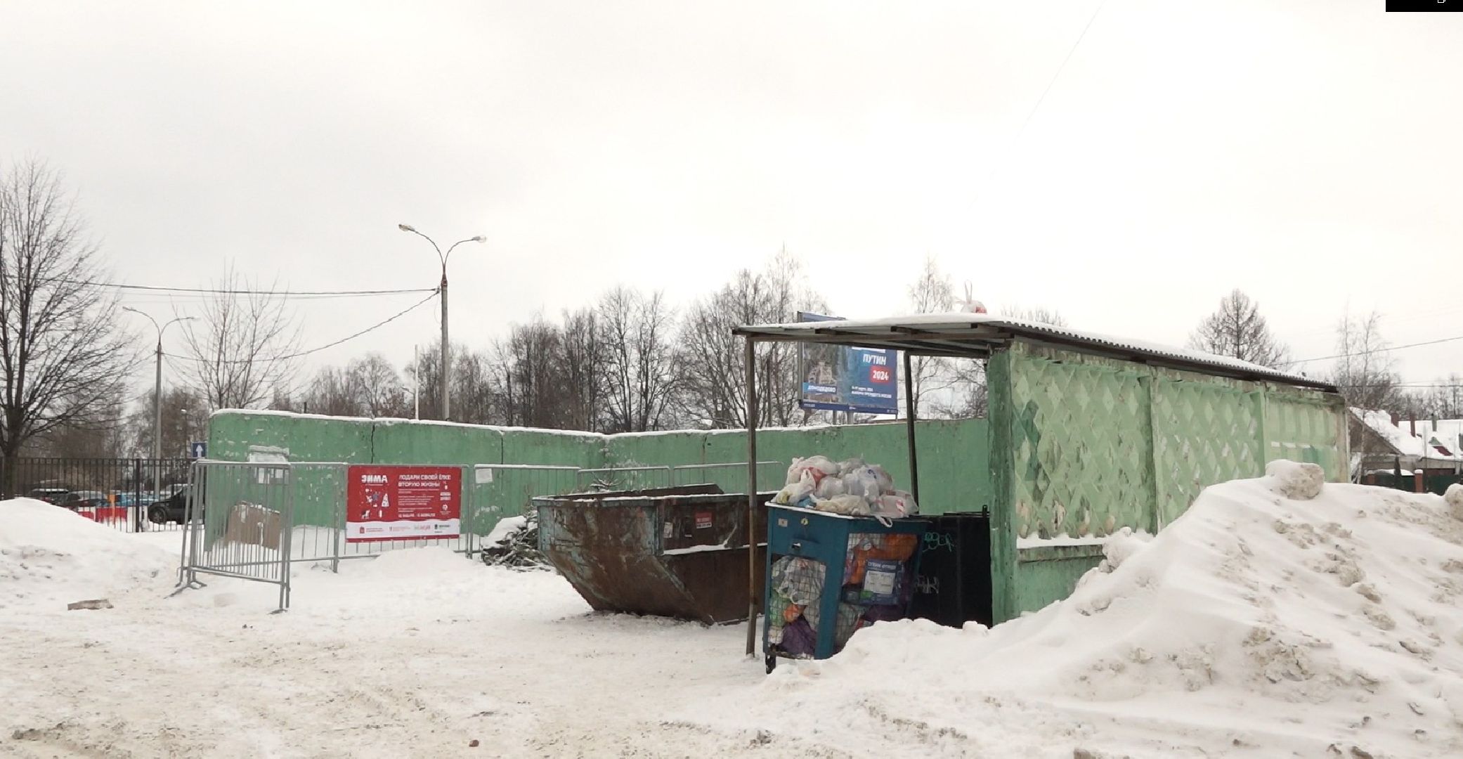 вторая жизнь елки, Зима в Подмосковье, Наш лес посади свое дерево, переработка, Домодедово,
