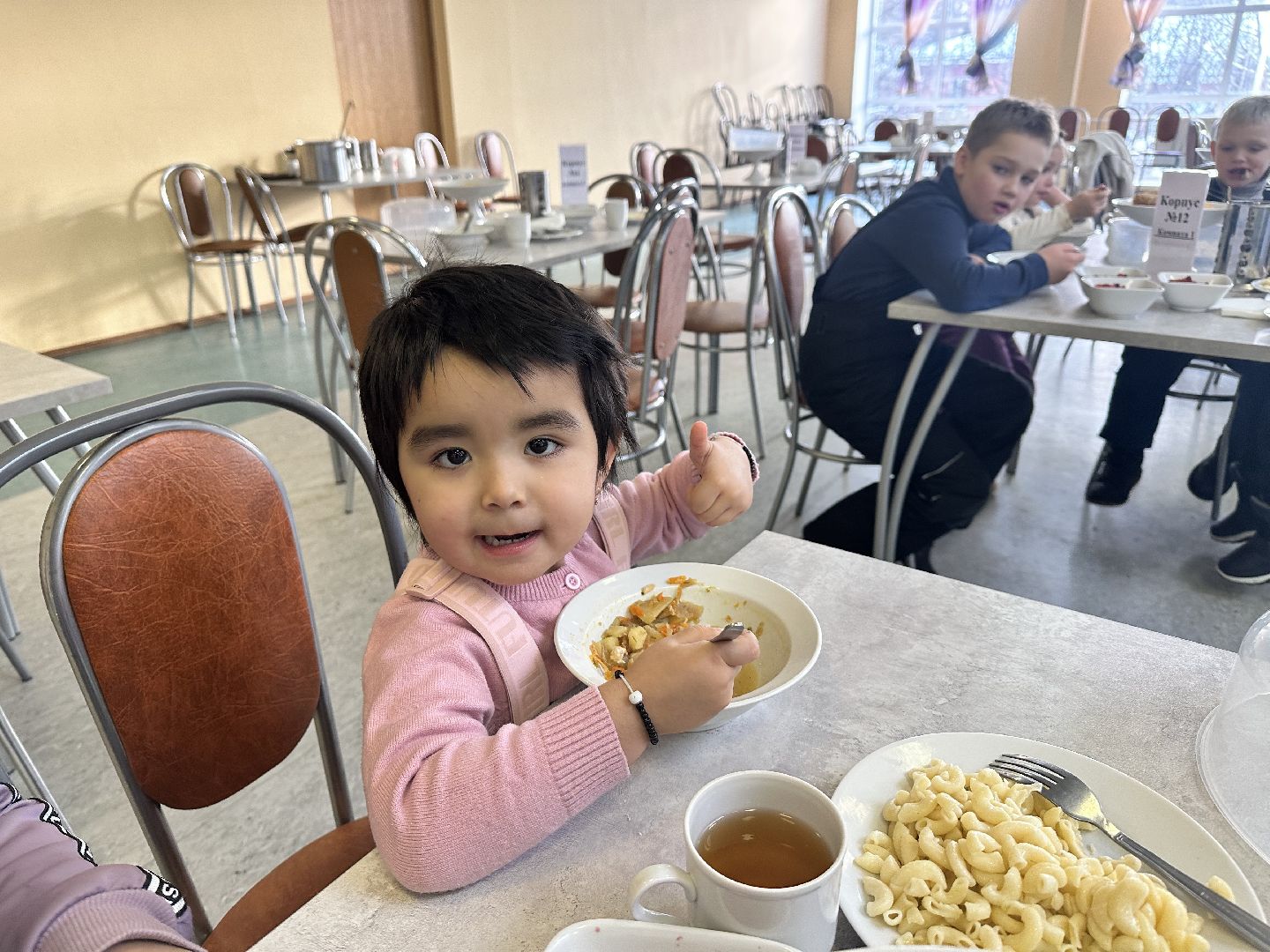 Литвиново, подольск климовск, наро-фоминск,