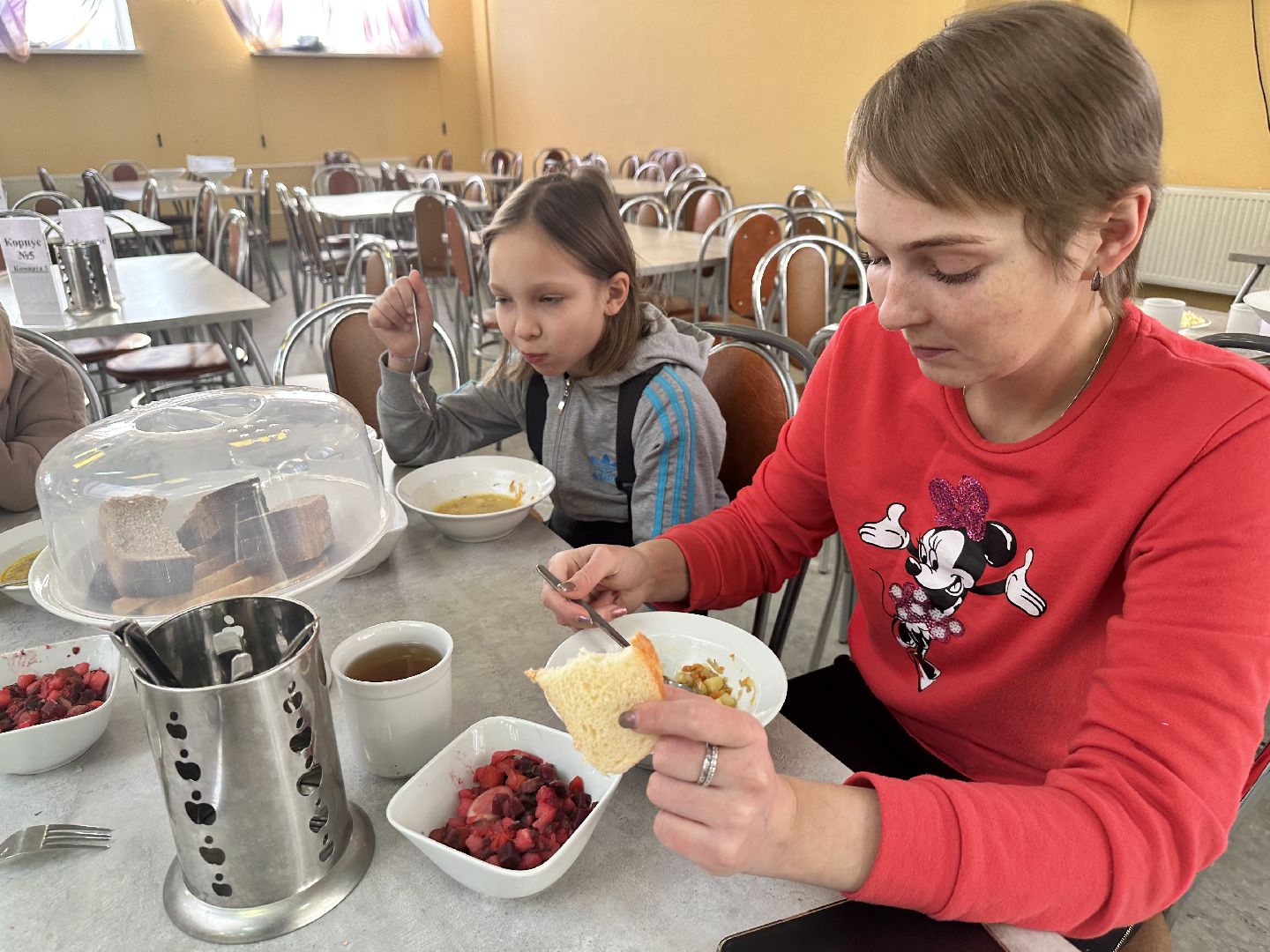 Литвиново, подольск климовск, наро-фоминск,