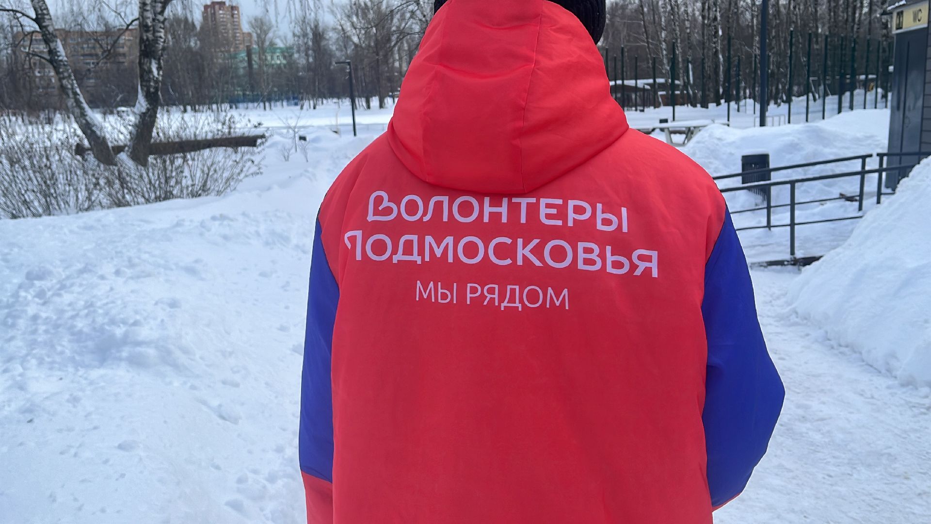 волонтерский центр, интернет, волонтеры,