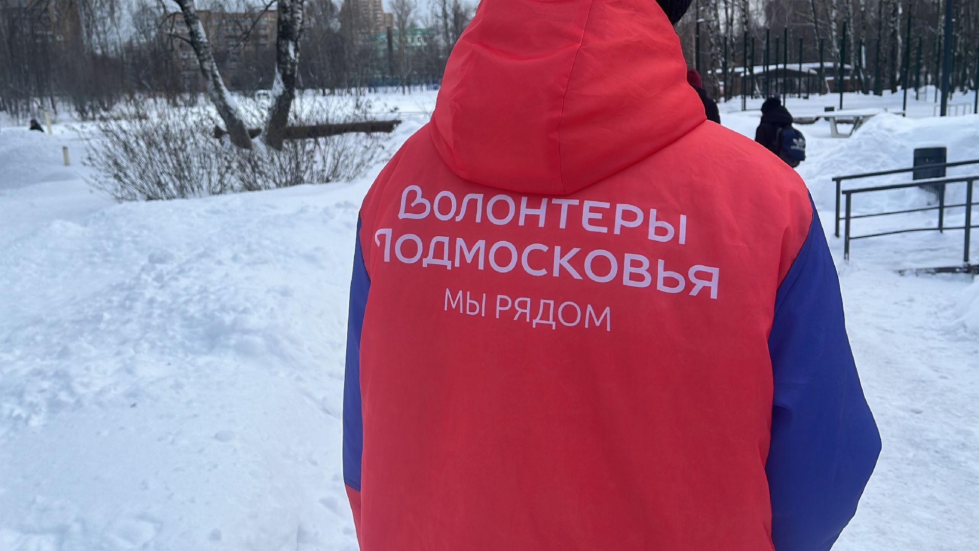 волонтерский центр, интернет, волонтеры,