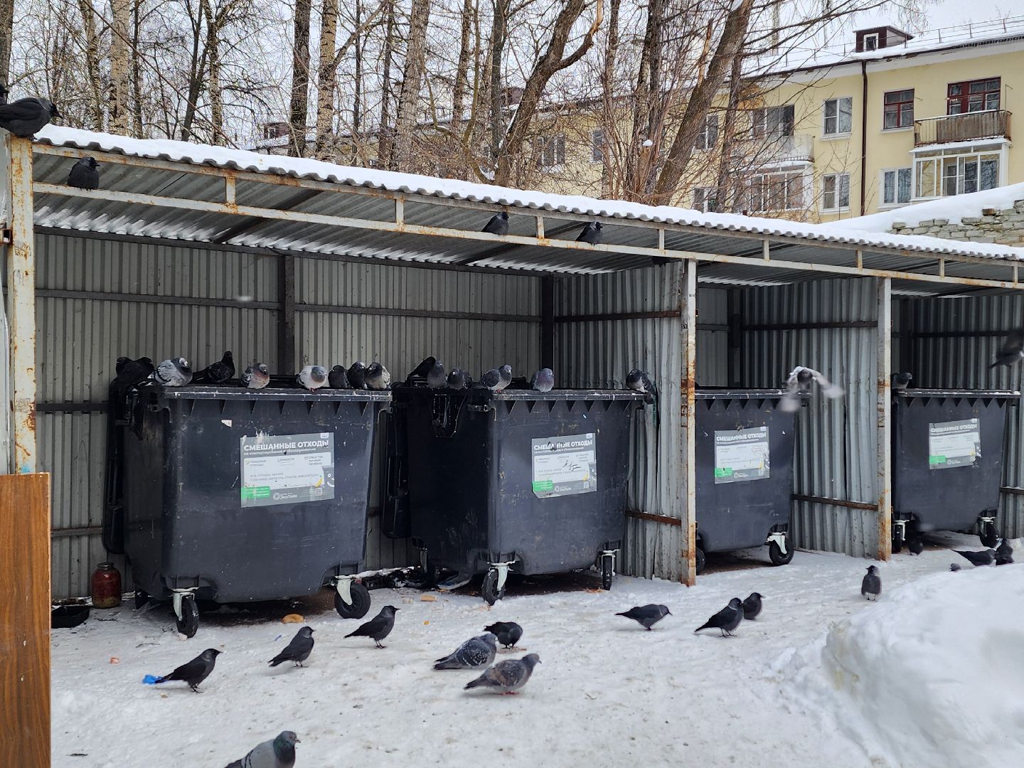 воскресенск, мусор, вывоз мусора, контейнерные площадки,