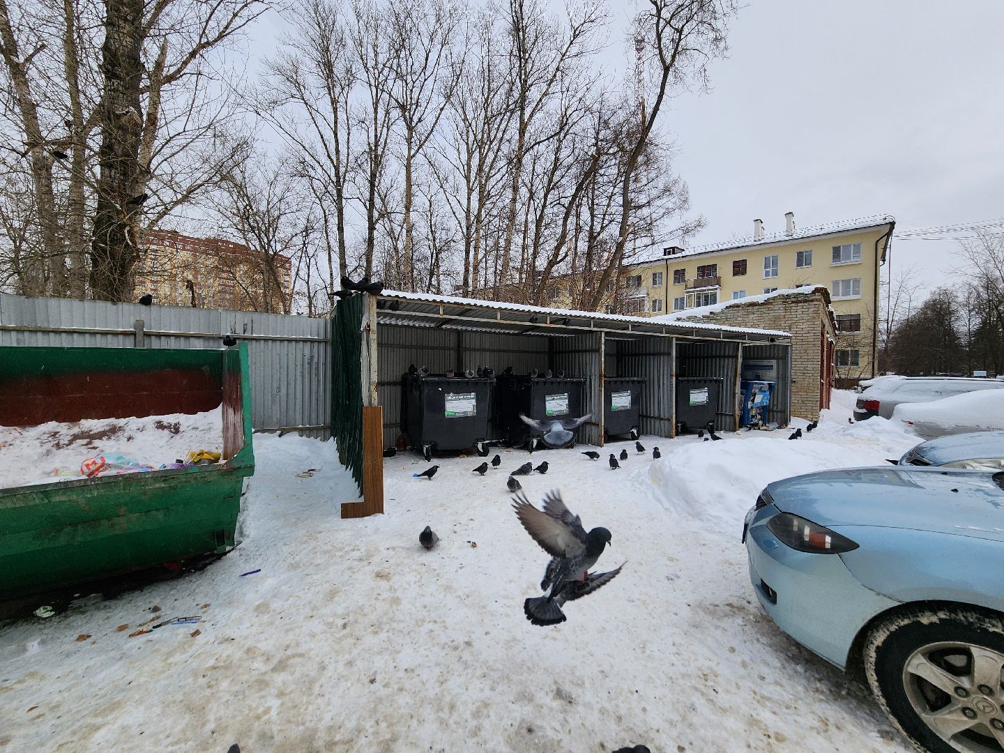 воскресенск, мусор, вывоз мусора, контейнерные площадки,