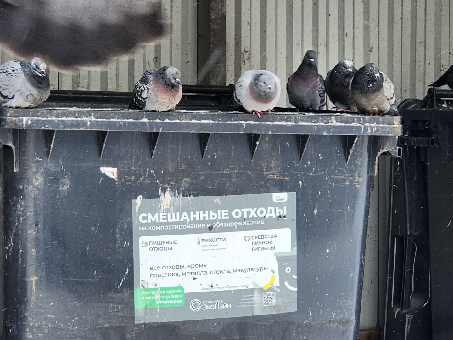 воскресенск, мусор, вывоз мусора, контейнерные площадки,