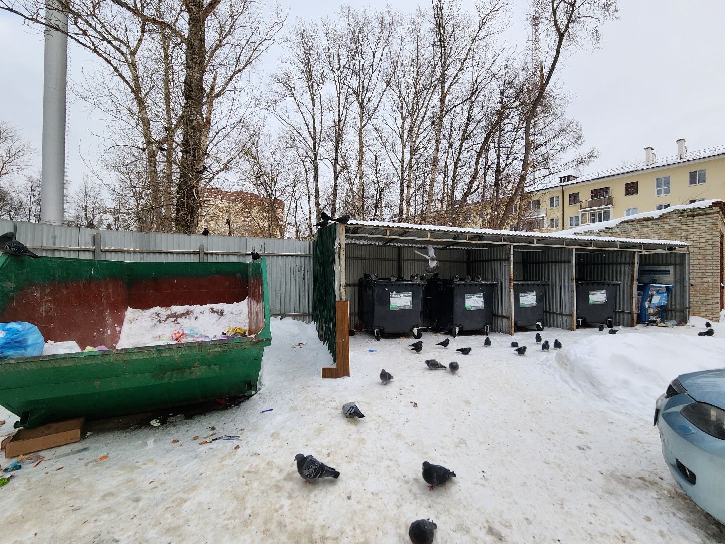 воскресенск, мусор, вывоз мусора, контейнерные площадки,