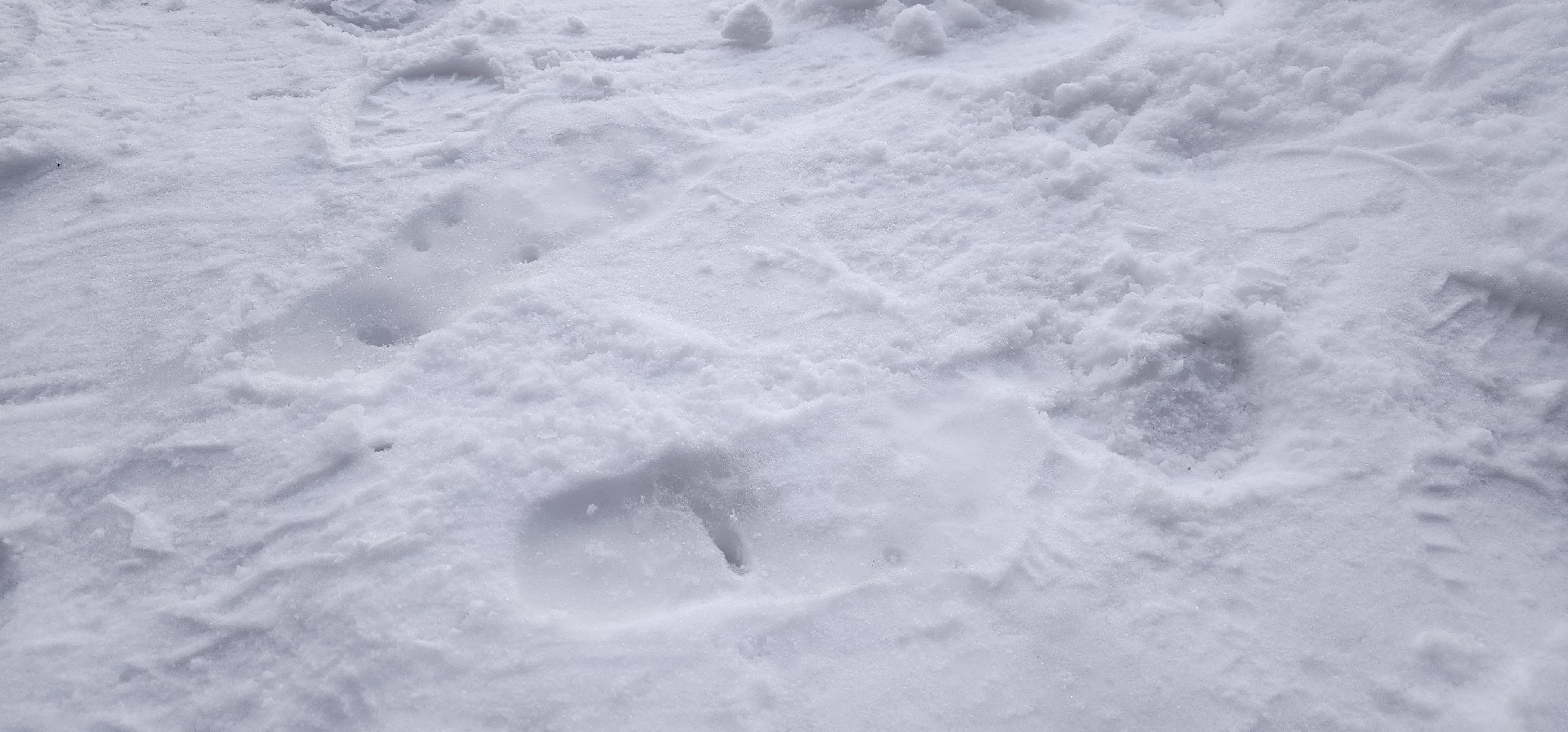 Коломна, здоровый образ жизни, зож,