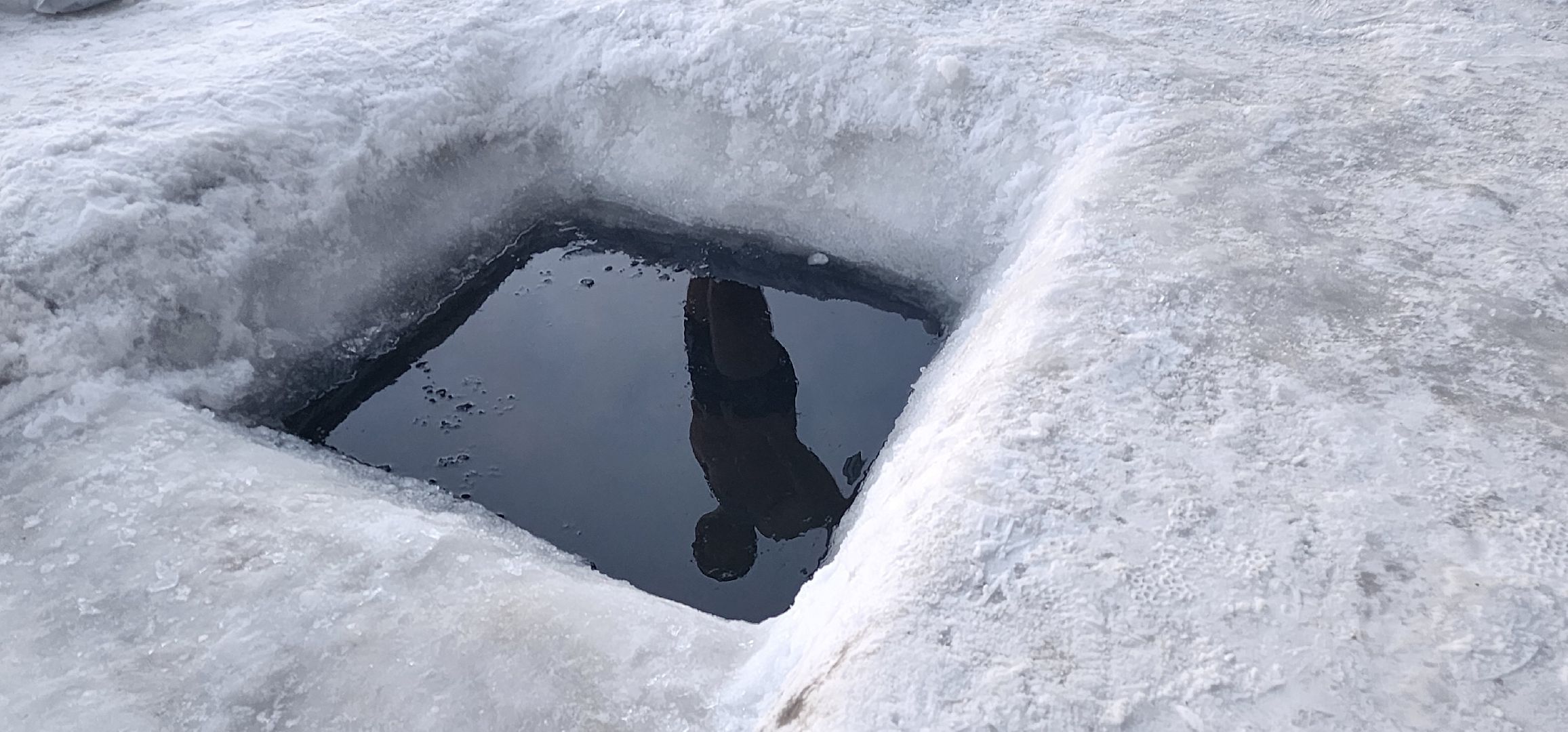 Коломна, здоровый образ жизни, зож,