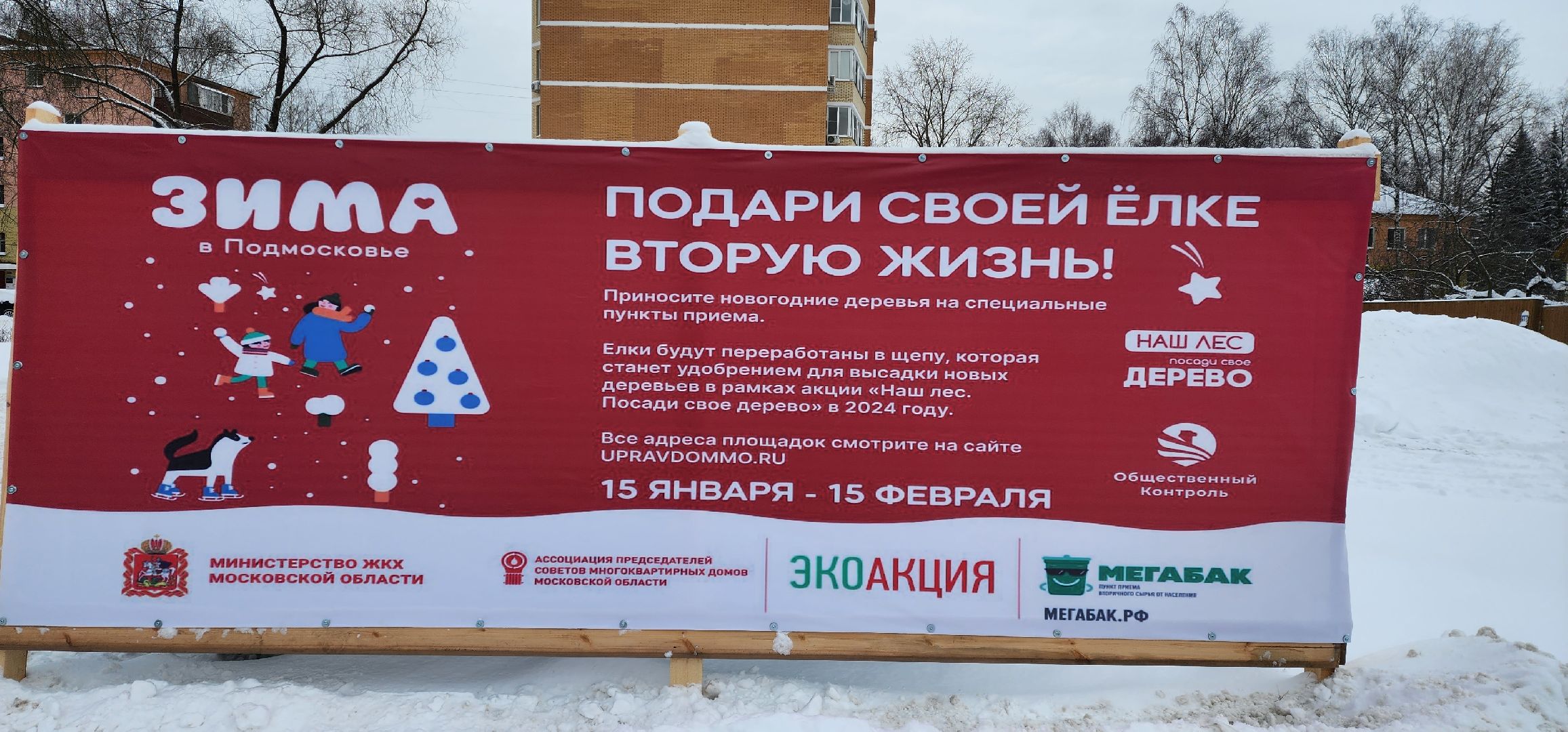 раменское, экология, экологическая акция, подари своей елке вторую жизнь, площадки для сбора деревьев в Раменском,