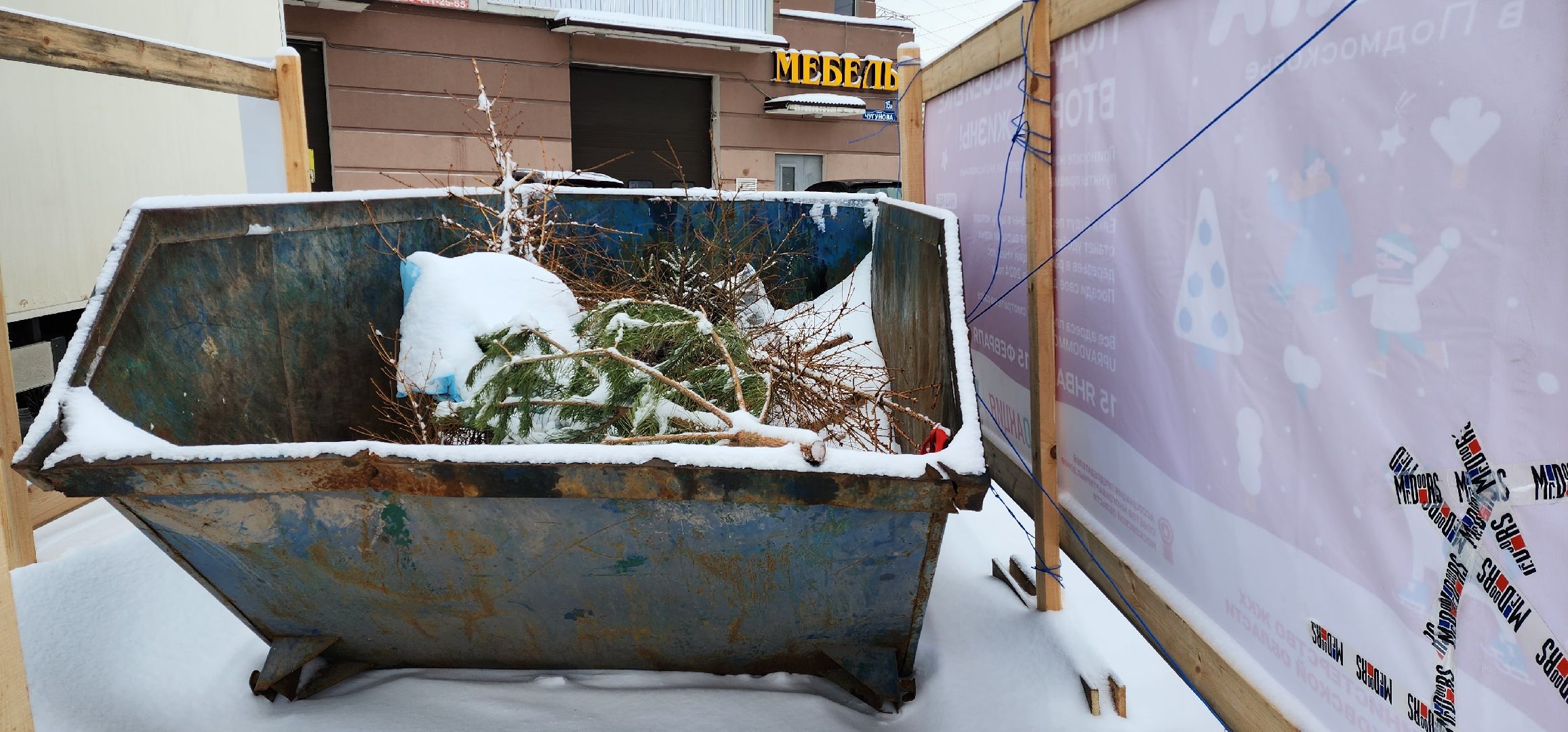 раменское, экология, экологическая акция, подари своей елке вторую жизнь, площадки для сбора деревьев в Раменском,