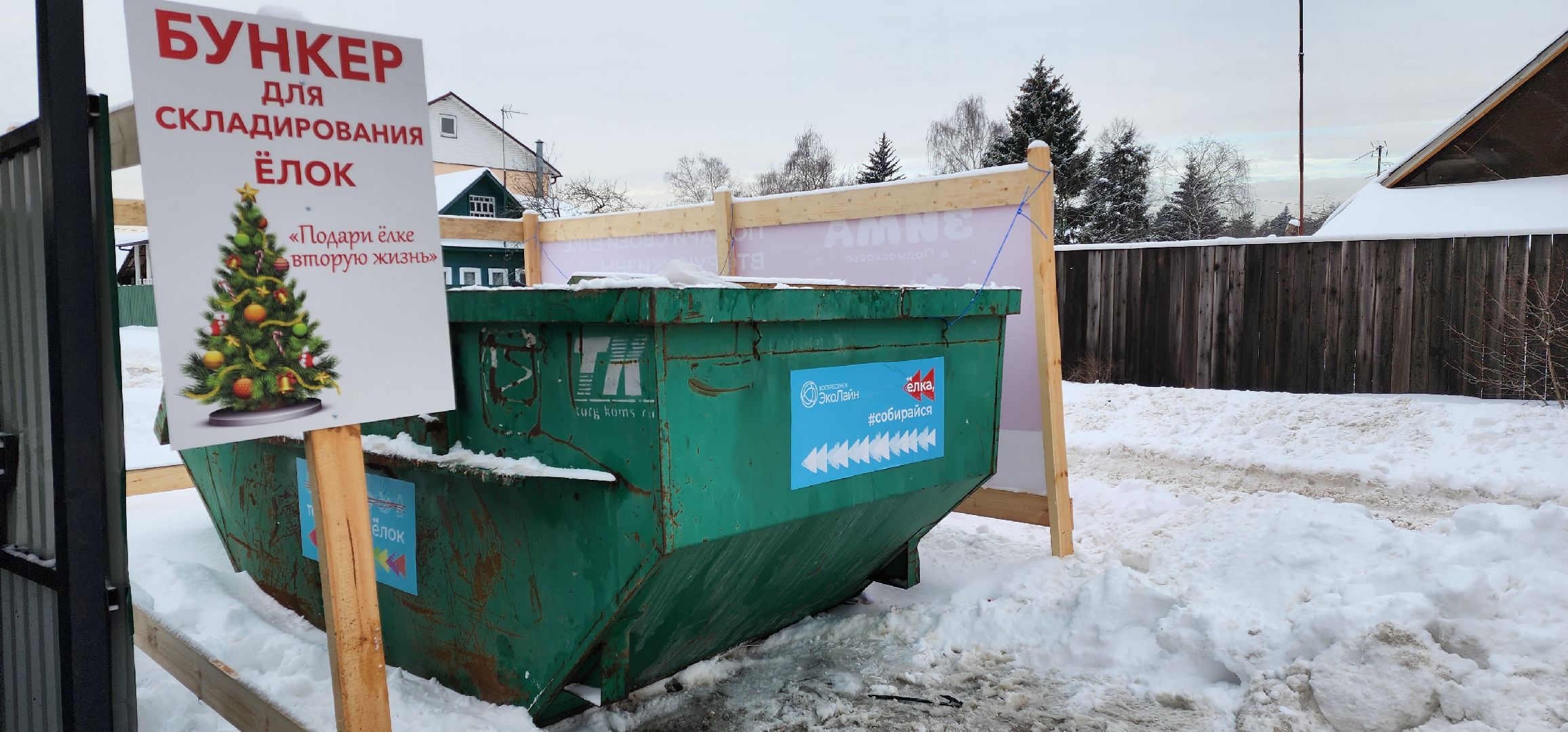 раменское, экология, экологическая акция, подари своей елке вторую жизнь, площадки для сбора деревьев в Раменском,