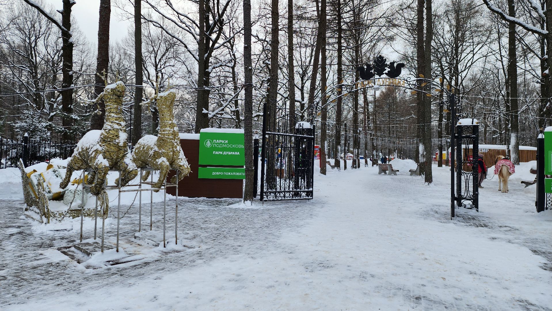 подольск, парк, отдых,