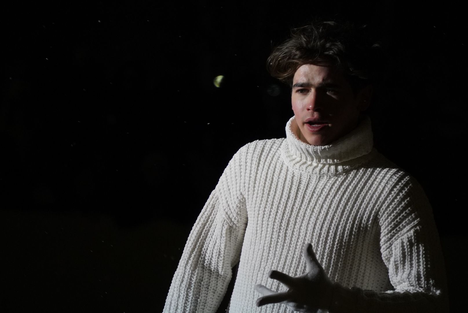 Городской округ Павловский Посад, Электрогорск, Авербух, ледовое шоу, Жители, Культура, Общество,