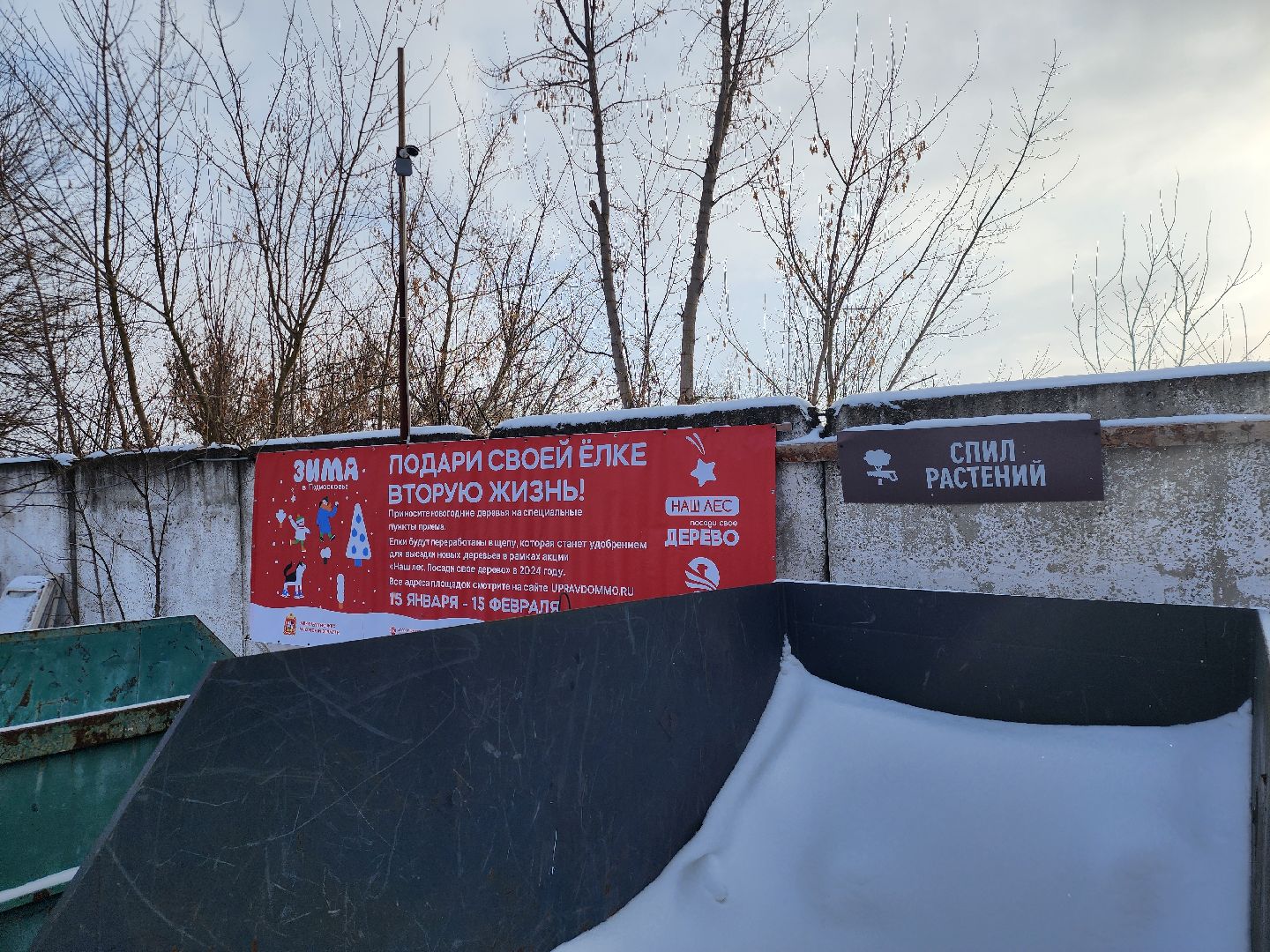 подари своей елке вторую жизнь, экология, экологическая акция, Серебряные Пруды, Узуново, Успенский,