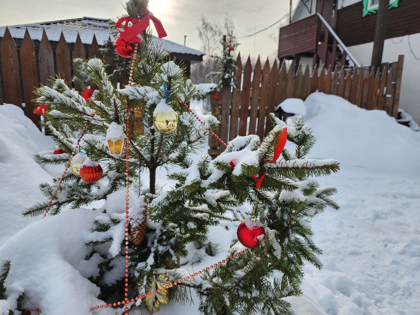 подари своей елке вторую жизнь, экология, экологическая акция, Серебряные Пруды, Узуново, Успенский,