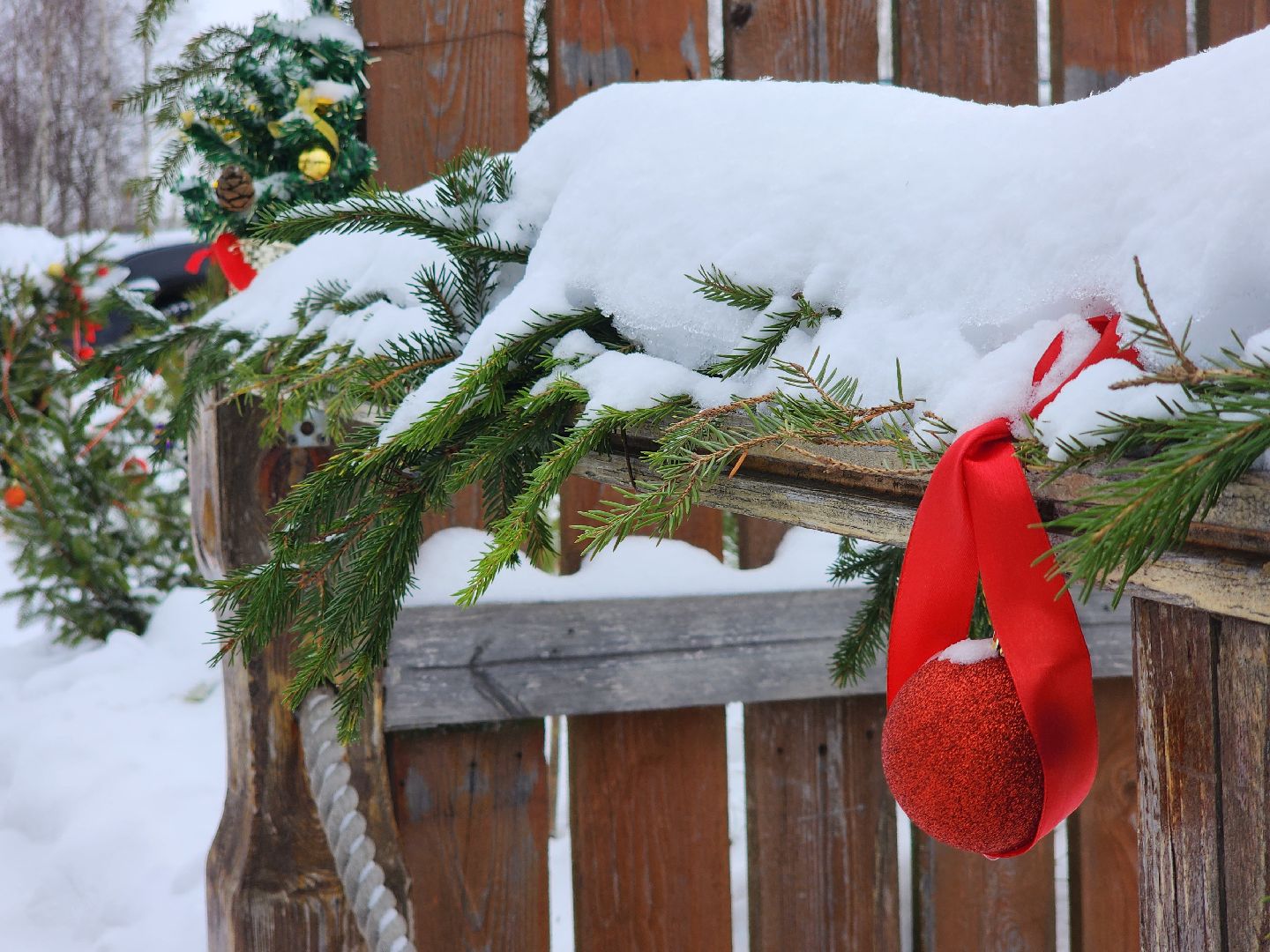 подари своей елке вторую жизнь, экология, экологическая акция, Серебряные Пруды, Узуново, Успенский,