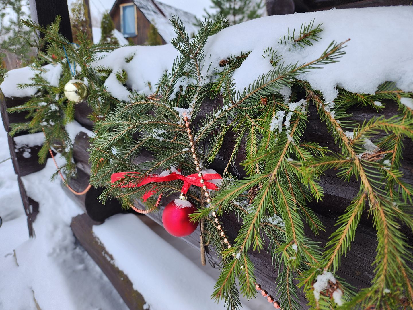 подари своей елке вторую жизнь, экология, экологическая акция, Серебряные Пруды, Узуново, Успенский,