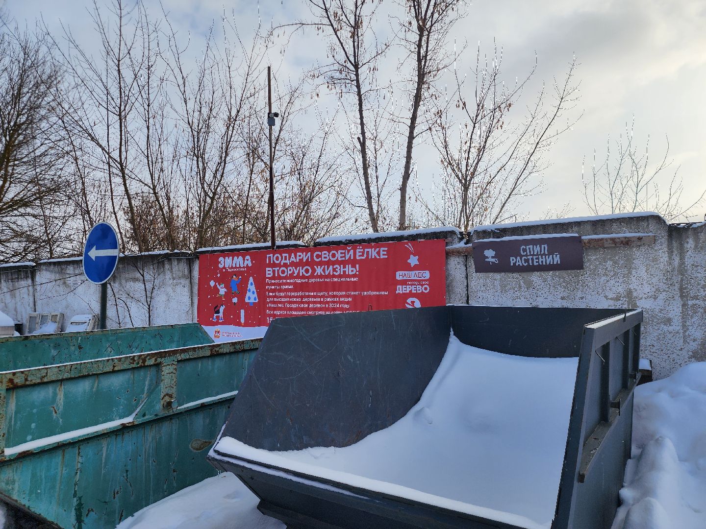 подари своей елке вторую жизнь, экология, экологическая акция, Серебряные Пруды, Узуново, Успенский,