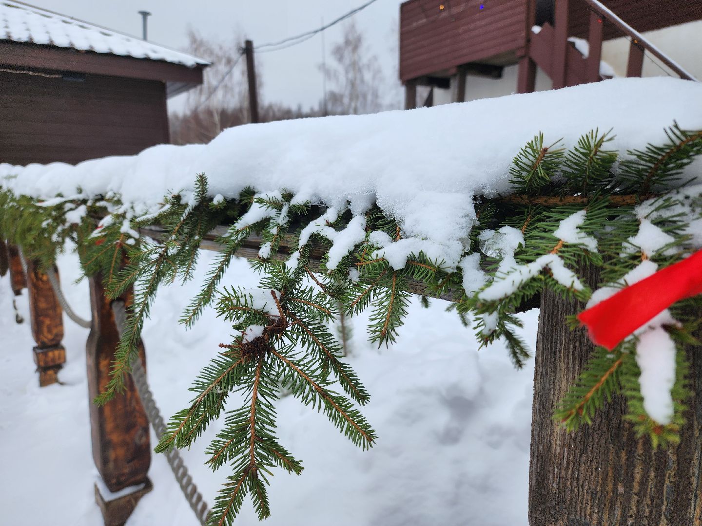 подари своей елке вторую жизнь, экология, экологическая акция, Серебряные Пруды, Узуново, Успенский,