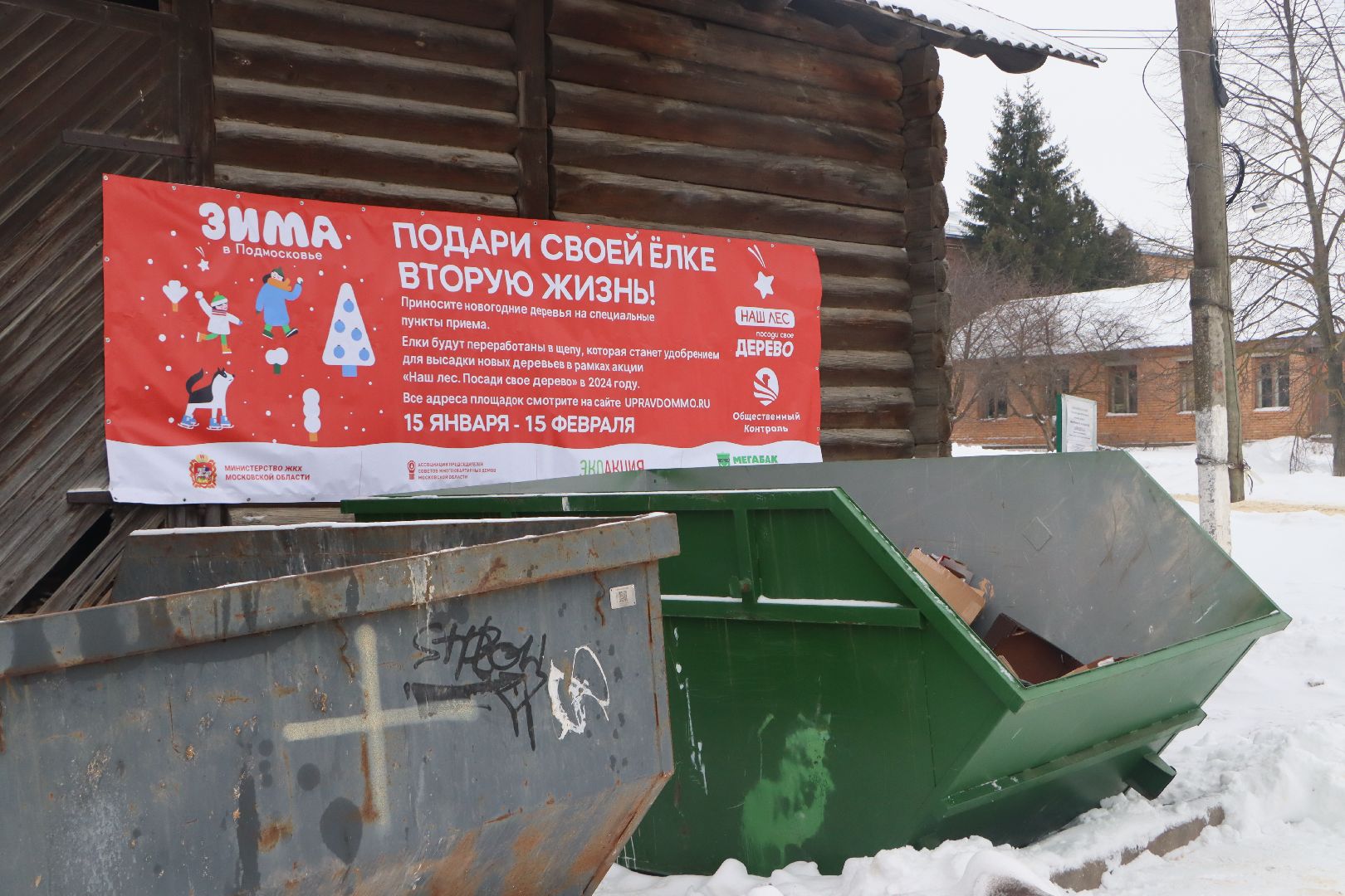 подари своей елке вторую жизнь, экология, экологическая акция, Серебряные Пруды, Узуново, Успенский,