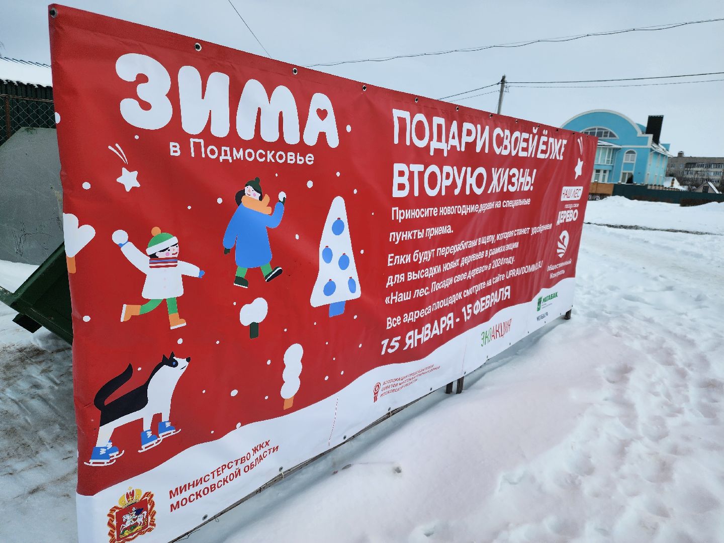 подари своей елке вторую жизнь, экология, экологическая акция, Серебряные Пруды, Узуново, Успенский,