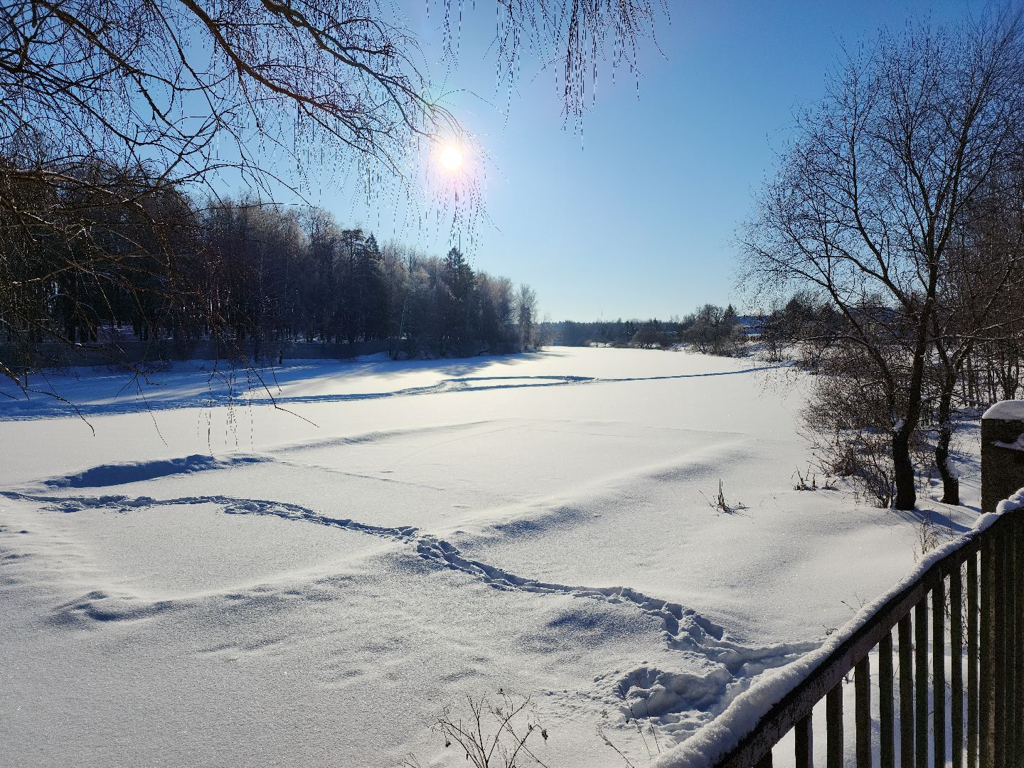 Одинцово, подмосквье, экология, программа, водоем,сто прудов и озер,