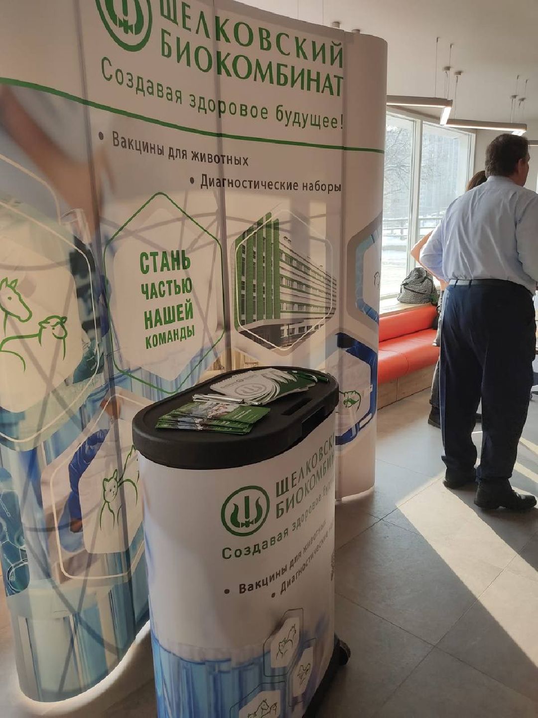 Лосино-Петровский, общество