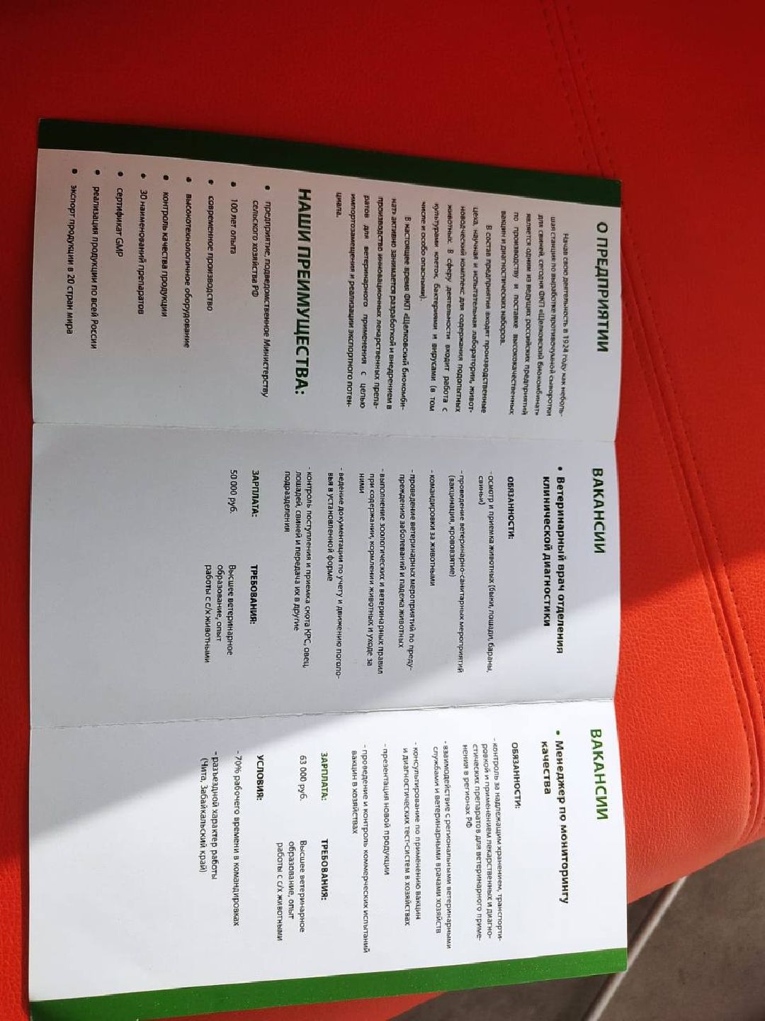 Лосино-Петровский, общество